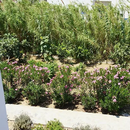 Aegeas Apartmán